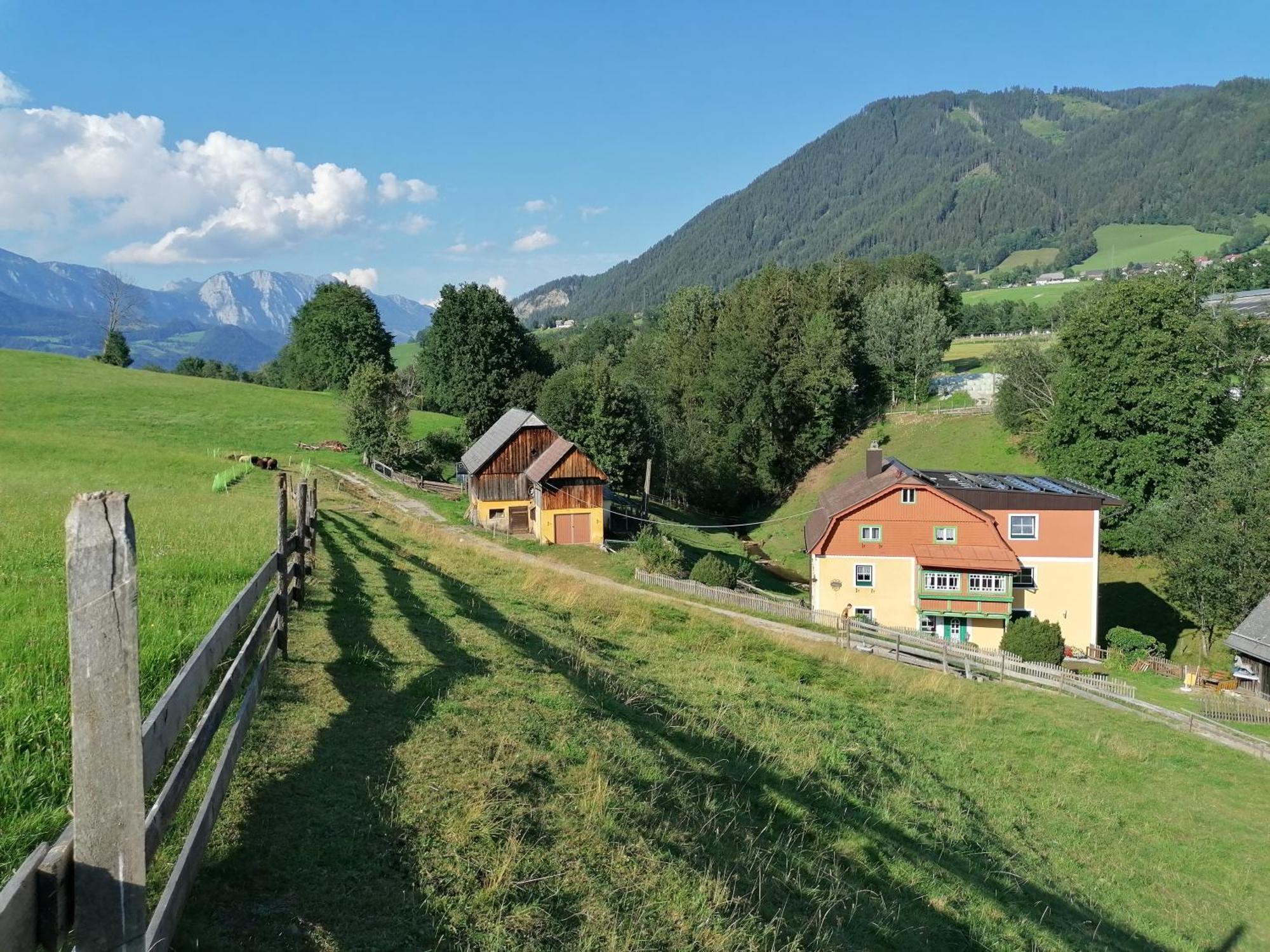 Ferienwohnung Weppermuehle Niederdorf  Exterior photo